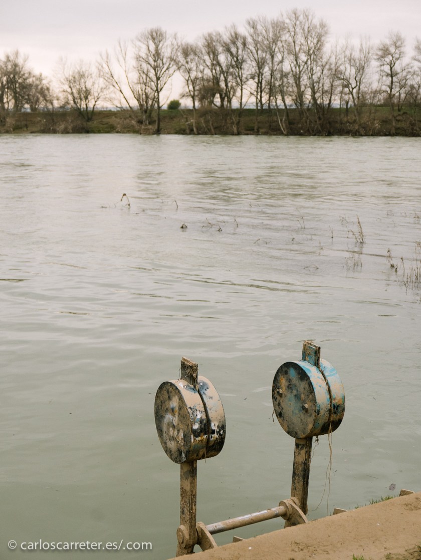 Incluso una sucesión casi ininterrumpida de avenidas está afectando al río Ebro a su paso por Zaragoza.