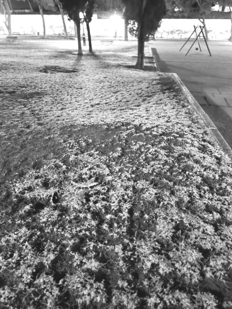 Una mañana dura para ir a trabajar a las siete de la mañana...