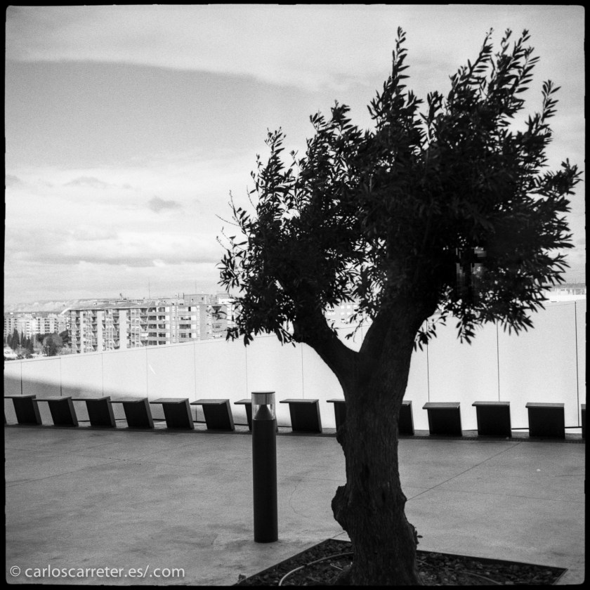 El viento era tal que estaba cerrado el acceso a la terraza del edificio. No pudimos disfrutar de sus vistas.