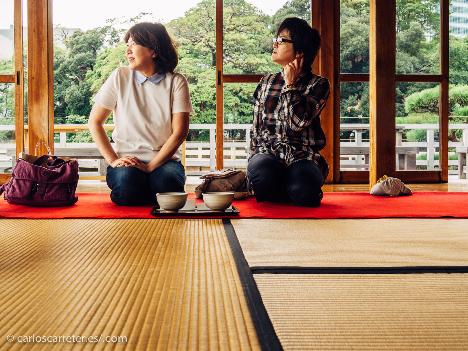 Por ello, para intentar recuperar algo del ambiente de la antigua Edo en la actualidad, os traigo estas fotografías de los jardines de Hamarikyu, con su coqueta casa de té en el lago principal de los jardines.