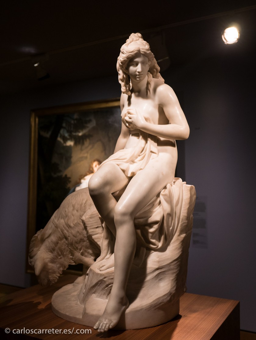 Y qué decir de las críticas al uso del desnudo y del sexo en las tramas que ha recibido la serie... pues si no querías una taza toma dos tazas y media... aunque ya se puede decir para los más calenturientos que no es el cuerpo real de la actriz, que tuvo un doble de cuerpo durante buena parte de la larguísima escena. No. No es Danaerys. Hace tiempo que dijo que ya valía de enseñar las vergüenzas.