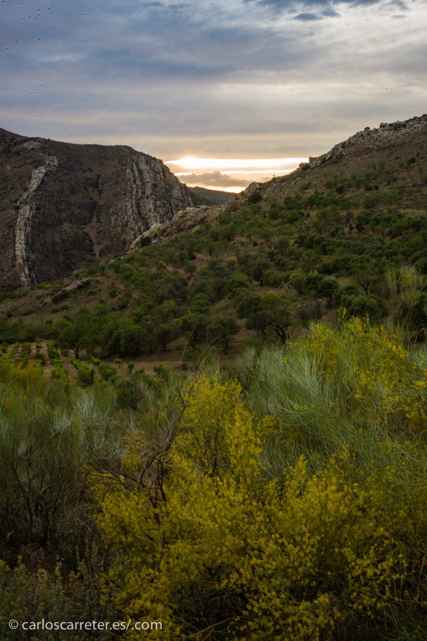 Desgraciadamente, sufre una plaga de pequeños organismos insignificantes llamados seres humanos, que lo están dejando echo unos zorros, y que amenazan con extenderse por el sistema solar... De momento mandas chismes con cámaras de fotos hasta los sitios más fríos... y eso que allí no hay nadie para hacerse un selfi.
