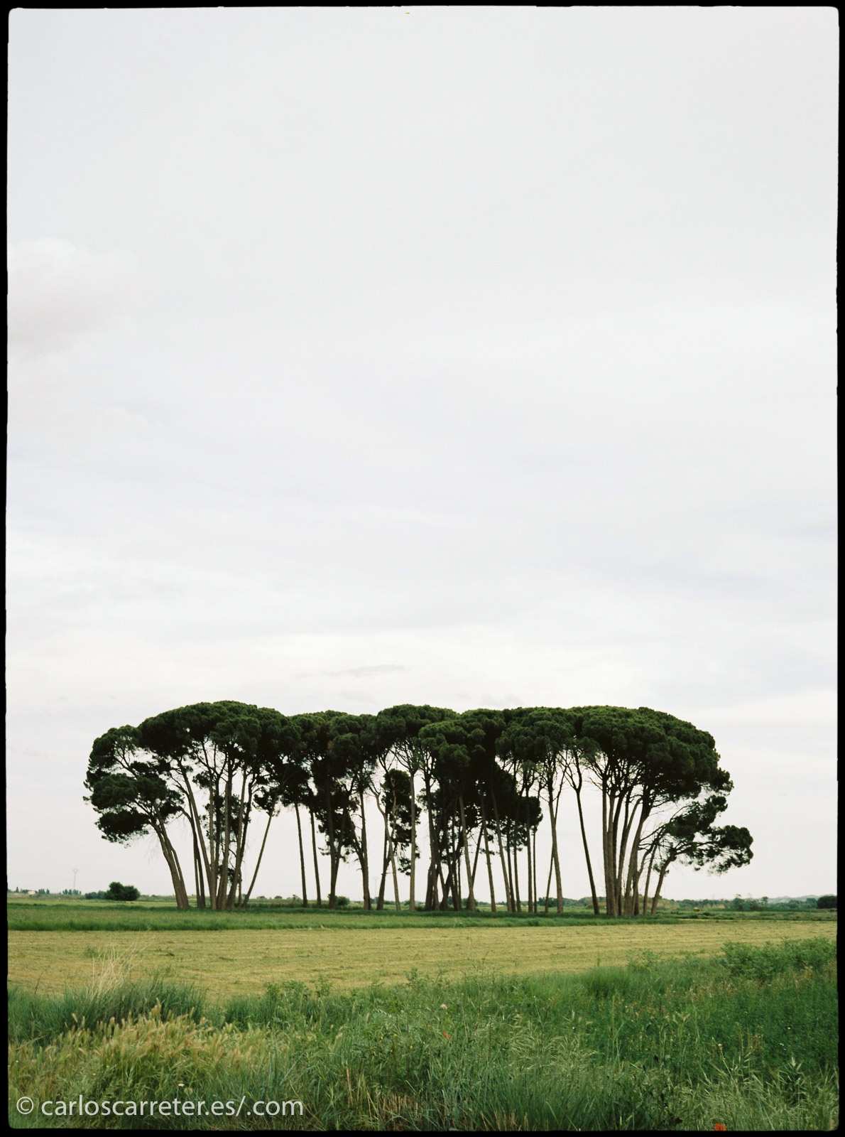 Procedentes del mundo real, pero con capacidad evocadora.