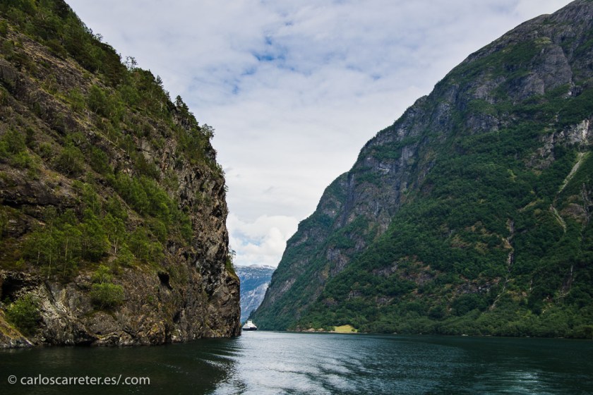 ... y el Nærøyfjord (esta fotografía).