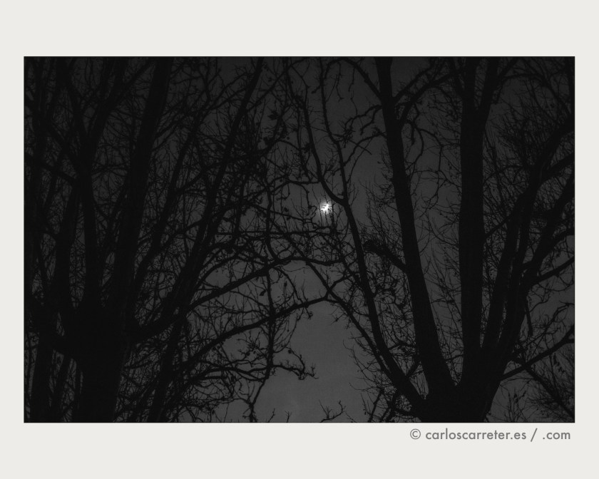 ¿Es un futuro factible colonizar la luna? ¿En esas condiciones? ¿Realmente es tan elevada la capacidad de adaptación del ser humano? ¿A qué precio? ¿Y las adaptaciones fisiológicas y anatómicas? Alguna especulación se deja caer. Aunque el tema principal sea un modelo viable de política lunar.