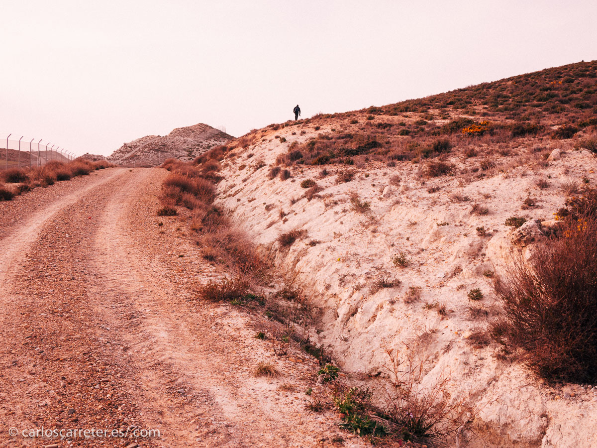 Si descontamos los matorrales,...