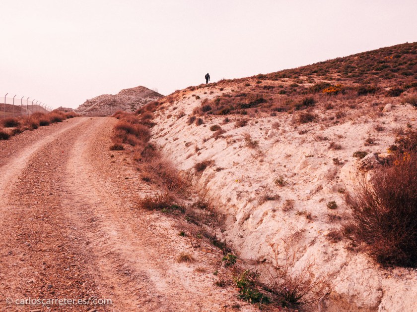 Si descontamos los matorrales,...