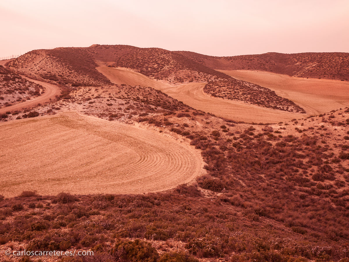 ... no es difícil imaginar en nuestras áridas tierras de Aragón los paisajes marcianos.