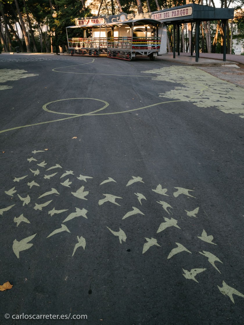 Da la impresión de que el director le ha dejado rodar con luces estupendas, no como al pobre al que obligó a iluminar en Barcelona en las horas centrales del día. Menuda pesadilla. Pero bueno. Tampoco le debió ir tan mal que luego repitió con Blue Jasmine.