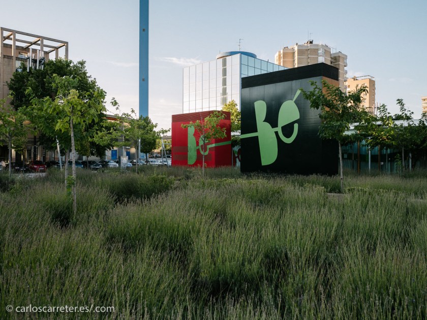 Por ello, he traído a esta entrada algunas fotografías tomadas con mi nueva GM5 a primeras horas de la mañana, con luz agradable. Que bien que nos dejan las duras luces del verano.