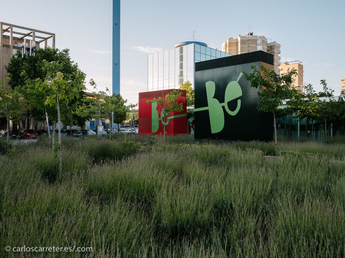 Por ello, he traído a esta entrada algunas fotografías tomadas con mi nueva GM5 a primeras horas de la mañana, con luz agradable. Que bien que nos dejan las duras luces del verano.