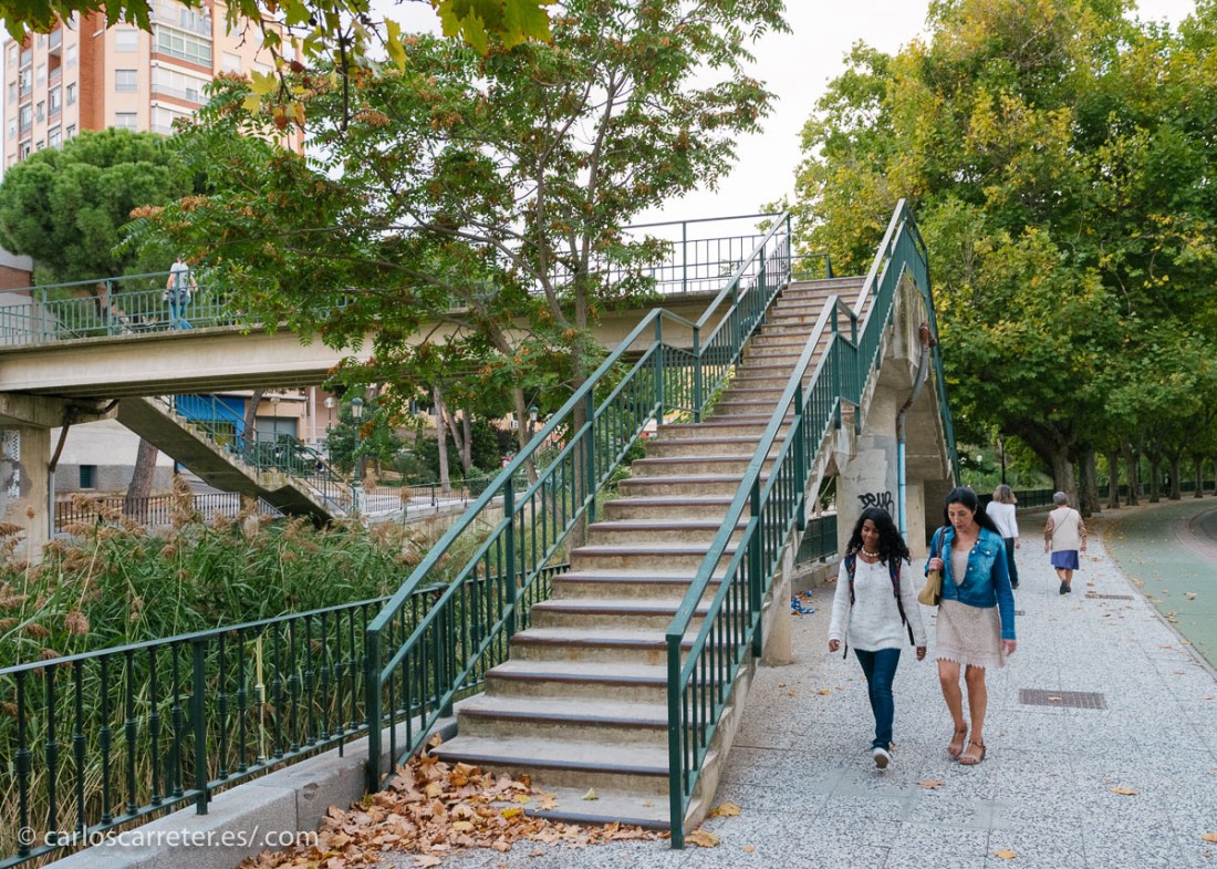 Así que me limitaré a poner algunas de un paseo con la cámara hace unas semanas.