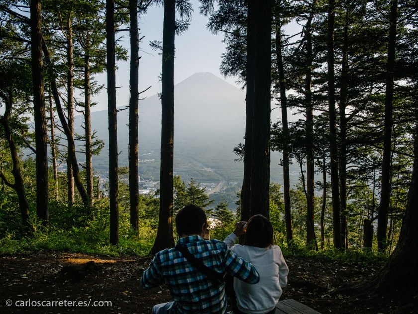El simbolismo de las mitologías japonesas está fuera del alcance del occidental normal, que no se dedique a estudiar y profundizar en el tema.