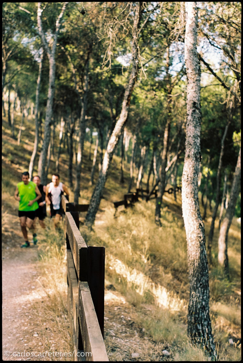 A ver si en los próximos días me da tiempo a comentar en mis páginas dedicadas a la fotografías las cuestiones técnicas relacionadas.