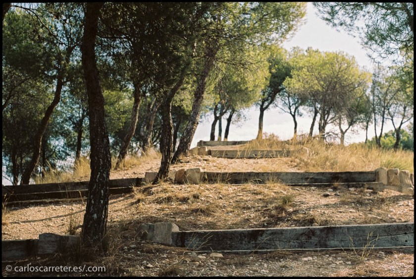 Las fotografías que acompañan hoy, de un pasaje relativamente árido a pesar de los pinos, como el de la frontera de los EE.UU. y Méjico, son también procedentes de carretes de película tradicional.