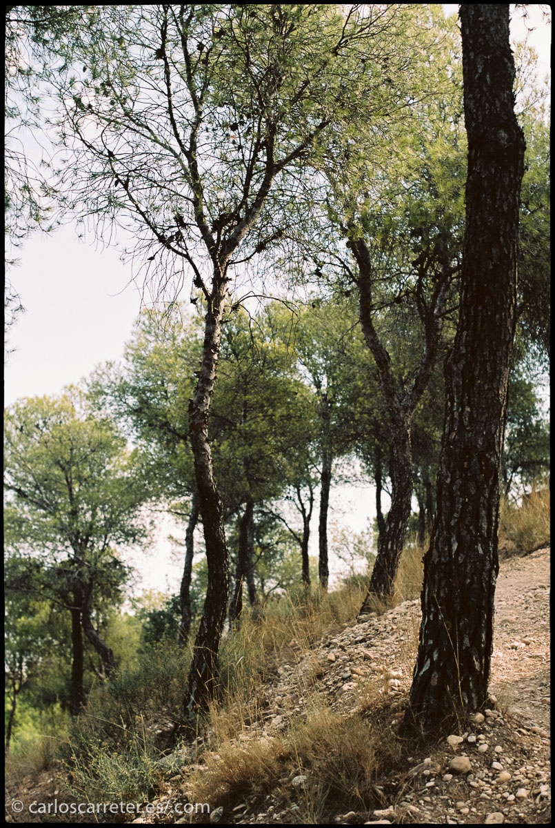 No es fácil fotografiar paisaje en las horas centrales del día, y quise hacer algunas pruebas.