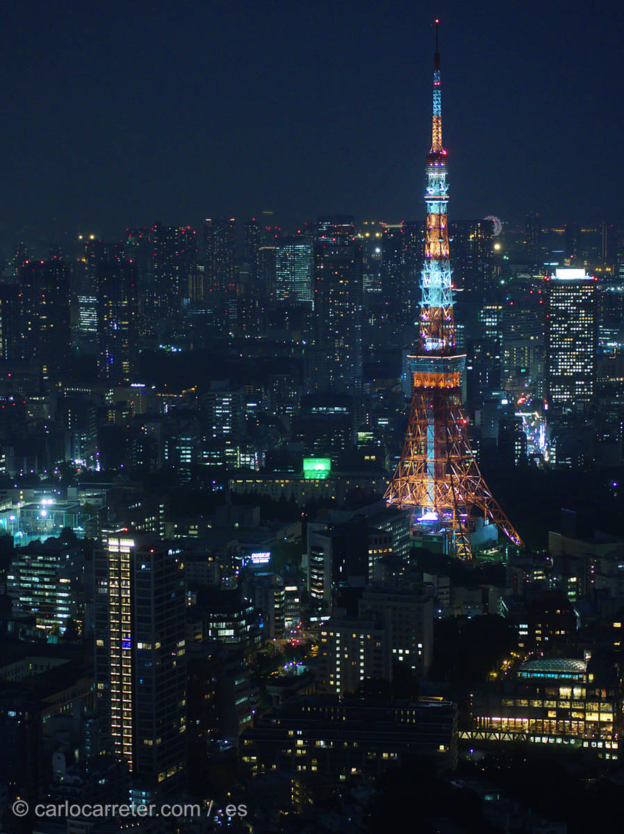 ... y la inmensidad, muchas veces deshumanizada, de la urbe tokiota.