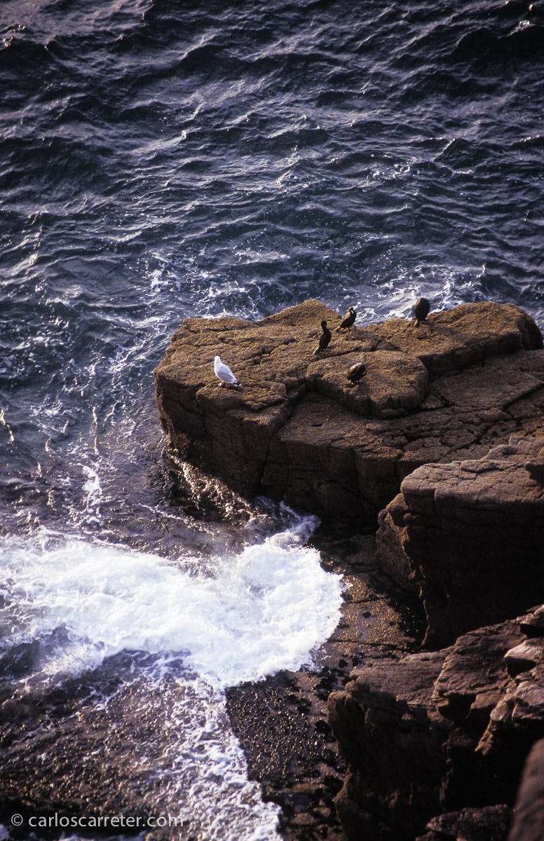 La aldea gala, según los mapas que aparecen en los álbumes, está en el Finistère bretón. Desde luego, al oeste de Cap Frehel (en esta foto), o de la Costa de Granito Rosa (en el encabezamiento de la entrada).