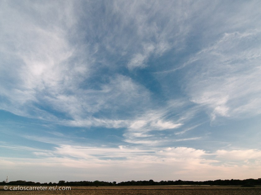Me refiero al paisaje estepario de los Monegros en Aragón.