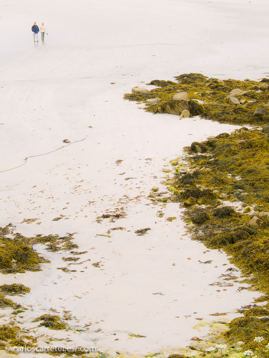 El mundo distópico de este filme está representado por la isla de Irlanda, un mundo distópico donde todo el mundo está obligado a ir en pareja.