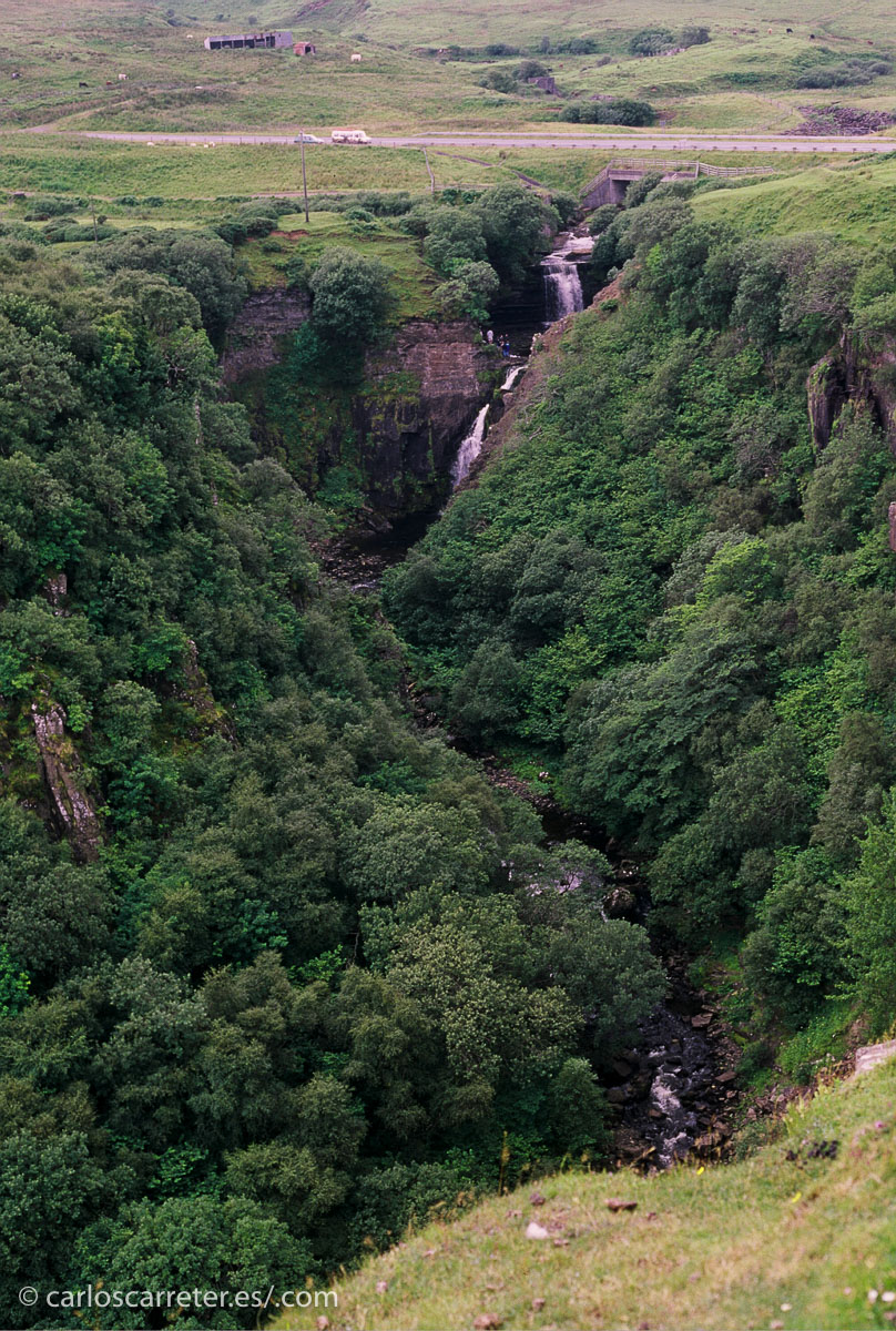 Aunque no han faltado tampoco los entornos de verde exhuberante y mares o lagos llenos de vida.... a veces de vida imbécil (Jar Jar Must Die)