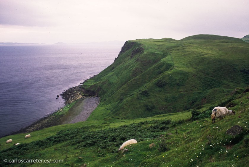 De las localizaciones que he visitado, o he estado en las cercanías, que salen en The Force Awakens, puedo elegir entre Escocia e Irlanda.