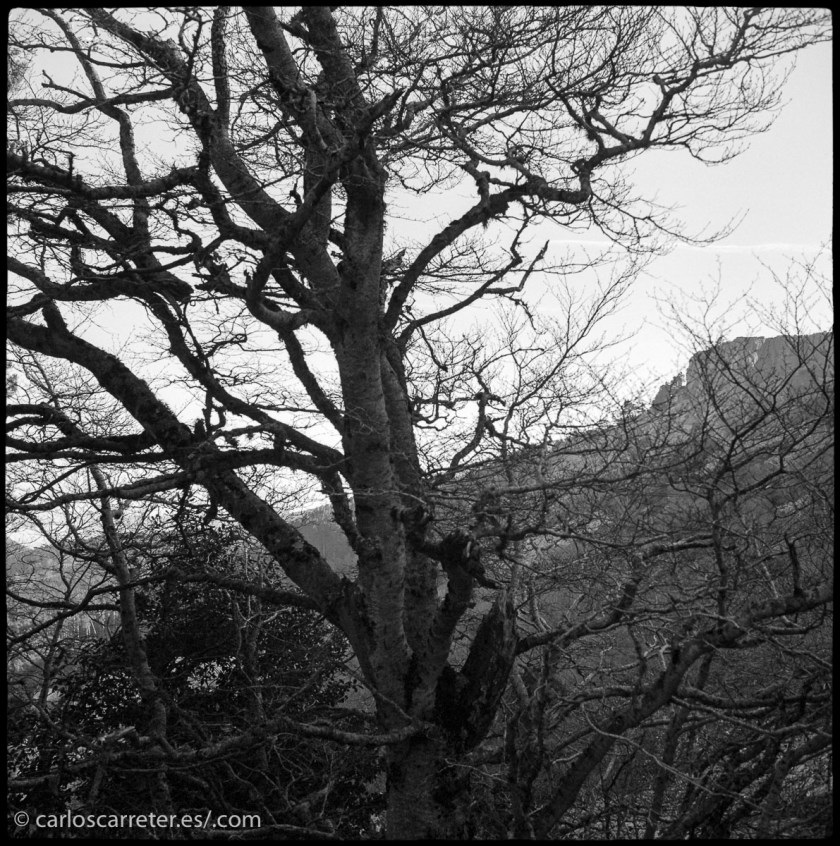 20151220-Perkeo-trix-hc110_021