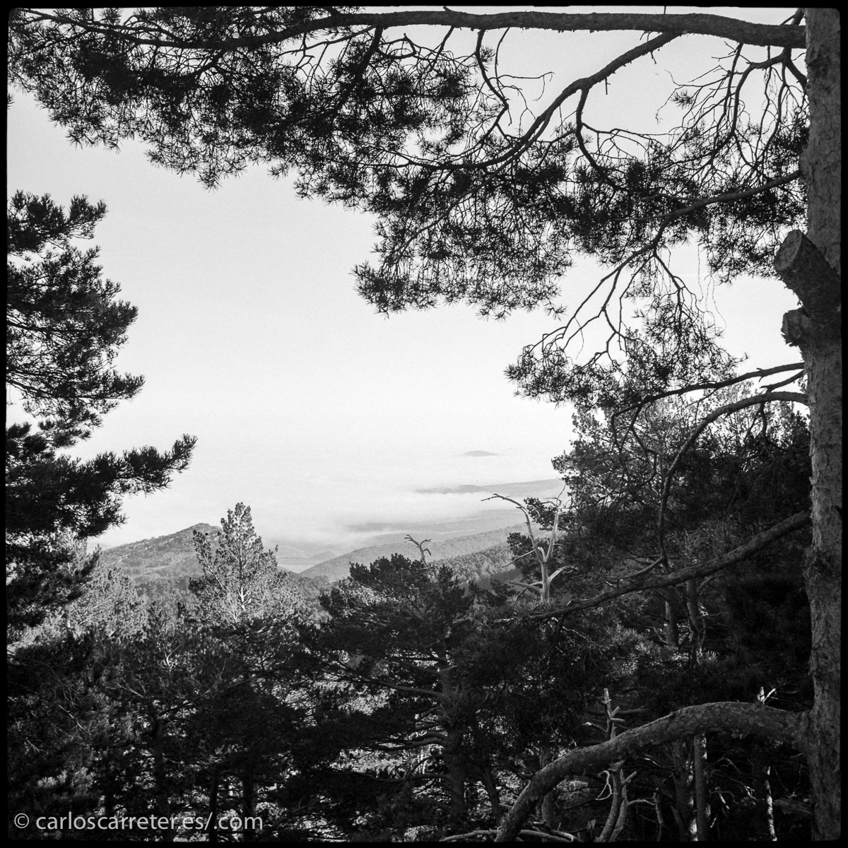 20151220-Perkeo-trix-hc110_024