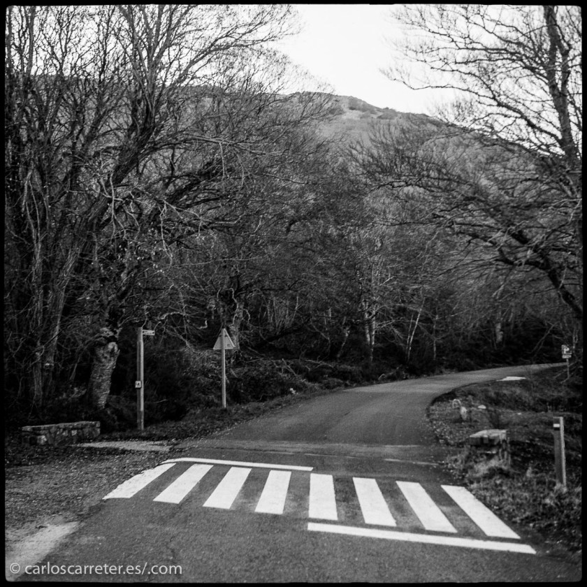 20151220-Perkeo-trix-hc110_034