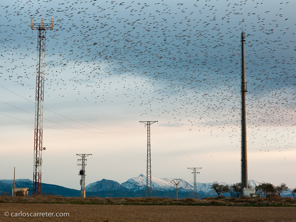 O por lo menos son lugares donde yo en más de una ocasión en disfrutado con la cámara fotográfica.