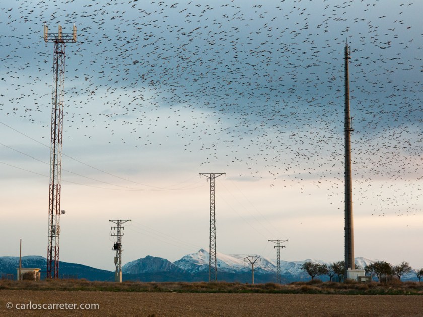O por lo menos son lugares donde yo en más de una ocasión en disfrutado con la cámara fotográfica.