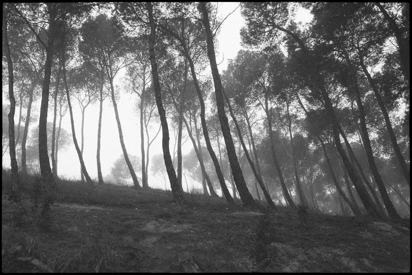Unido a que se han alternado con días de lluvias, y a los días que he estado bajo el efecto de una fiebre infecciosa impertienente... reflejan mi estado de ánimo estos días.