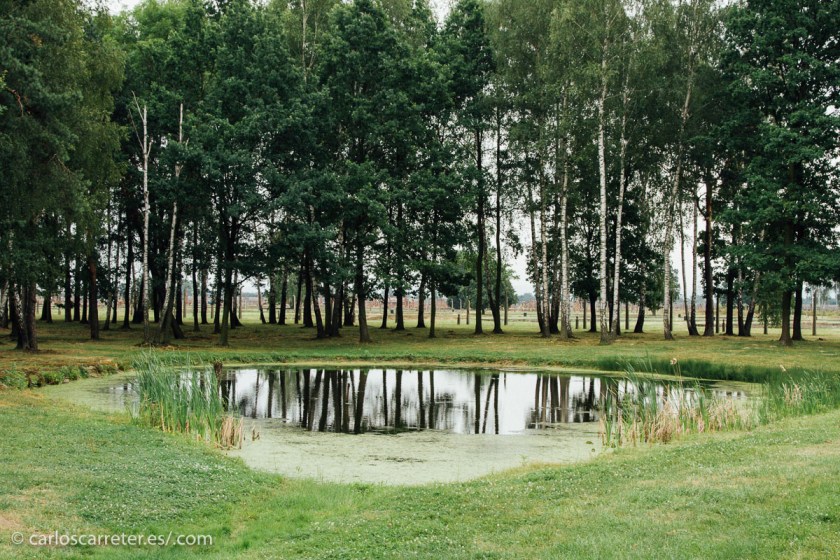 Pero sí permanece uno de los estánques a los que se echaban las cenizas de las "piezas" incineradas. "Piezas",... este es el nombre que recibían los cadáveres gaseados.