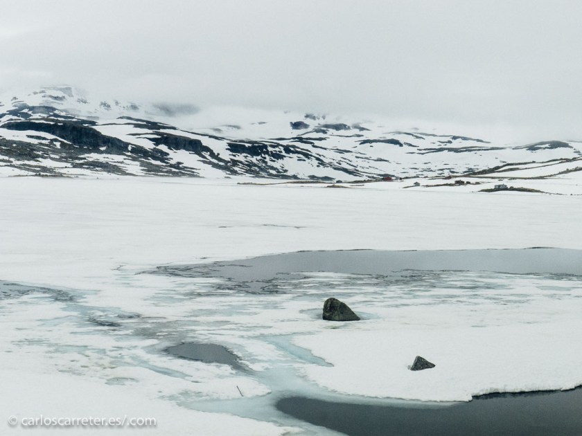Una de las historias que se cuentan en el libro transcurre en la meseta noruega de Hardangervidda,... un lugar que atraviesa el ferrocarril Oslo-Bergen, y que aquí podéis ver el aspecto que tiene a principios de julio... en verano.
