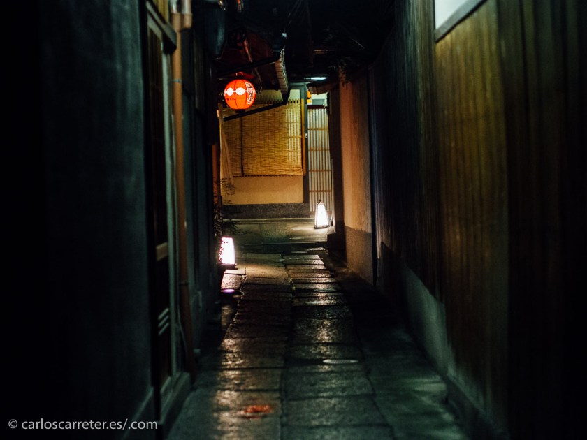 Hay personas que confunden en Japón a las geishas, como las del distrito de Gion en Kioto, con las prostitutas, o cortesanas como las denominan en este libro.