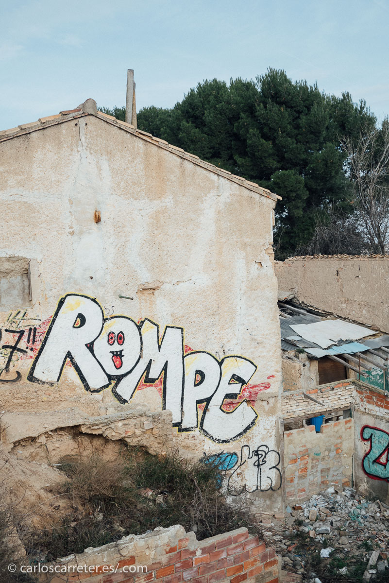 La primera mañana de 2016 ha sido muy agradable en Zaragoza; por lo tanto, las primeras fotos del año han caído de forma natural.