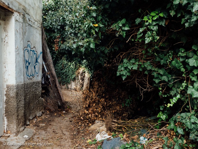 Así que con un par de cámaras, me he ido a probar alguna cosa o simplemente hacer alguna foto a algún rincón curioso.