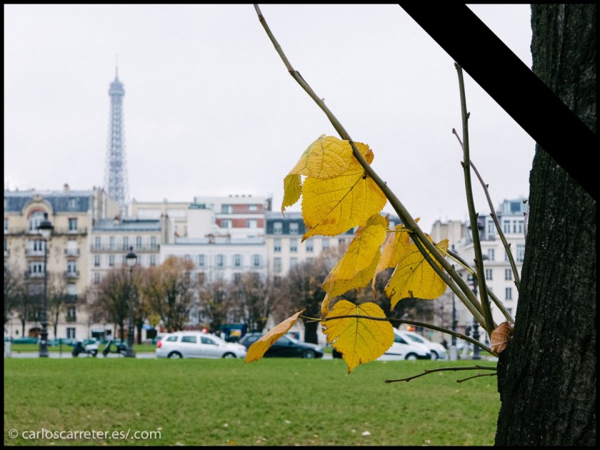 Un París que se ha vuelto prácticamente invivible e irrespirable... en el que es difícil pasear por sus bellos parques.