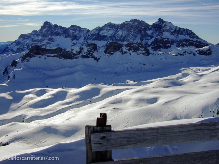 Pero también pueden ser bellos y duros, oye. ¿A que sí?