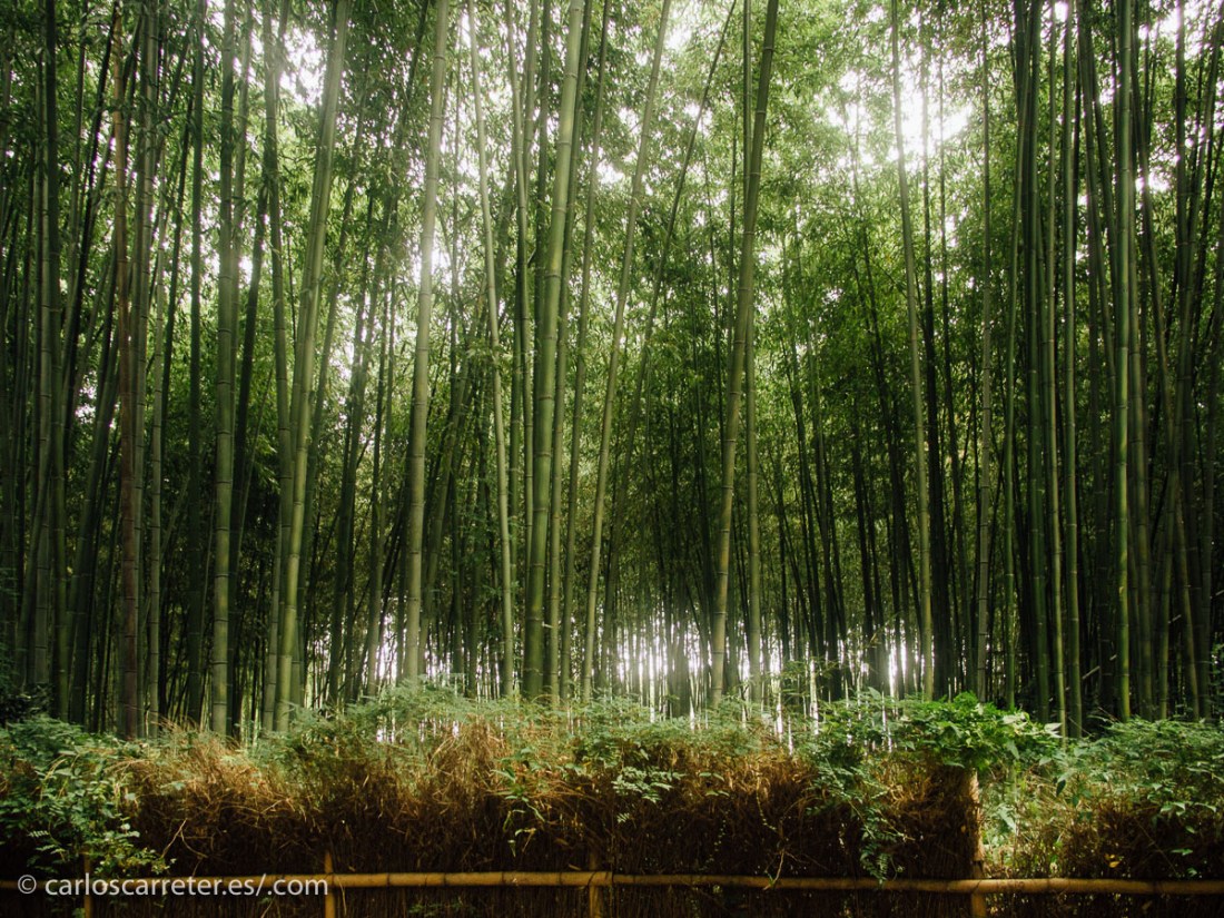 Aunque son dos países distintos con culturas diferencias, no se puede negar la influencia mutua, siendo probablemente mayor la influencia china en Japón que al revés.