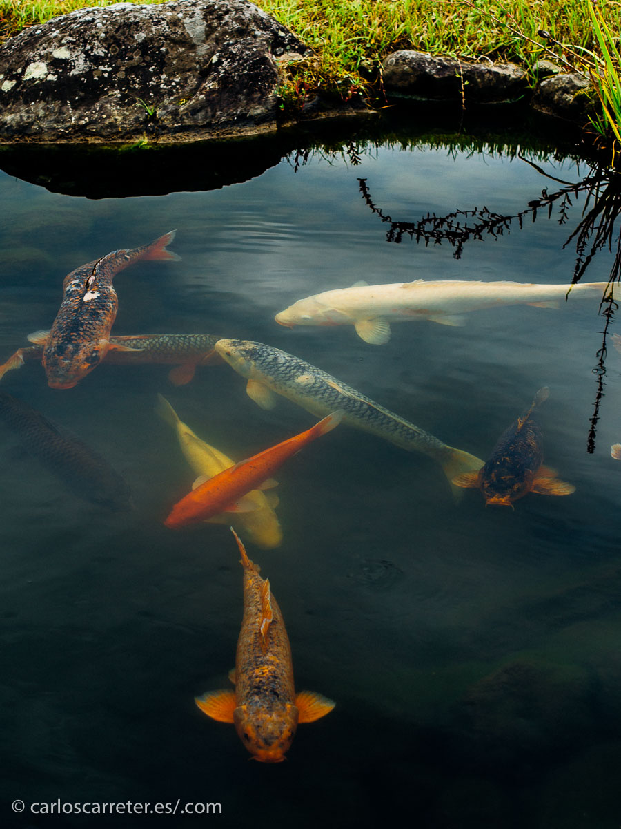 En cualquier caso, merece la pena acercarse a estos países de los que hemos oído hablar mucho pero conocemos poco.