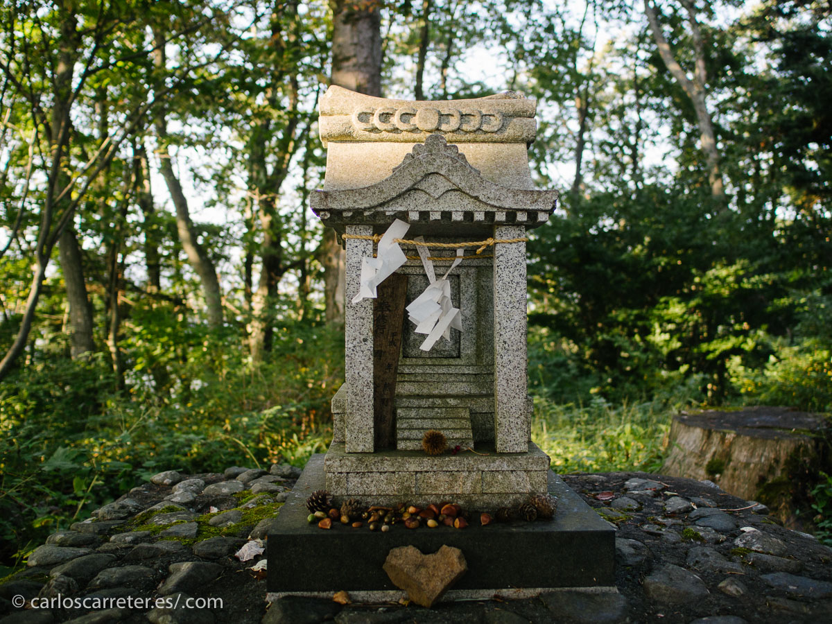 2014, Viaje a Japón. carloscarreter.rs | carloscarreter.com | Tumblr | Twitter | Facebook.