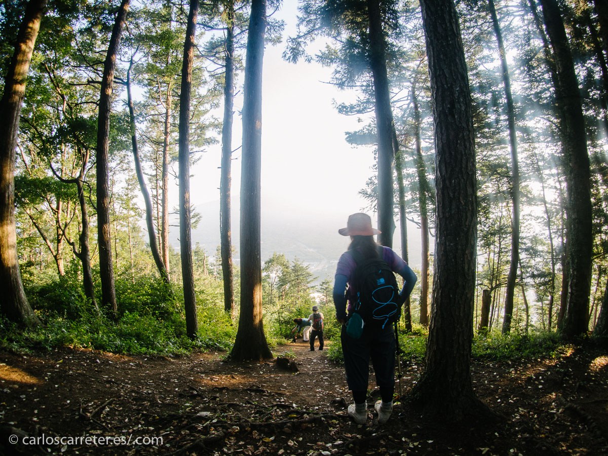 2014, Viaje a Japón. carloscarreter.rs | carloscarreter.com | Tumblr | Twitter | Facebook.