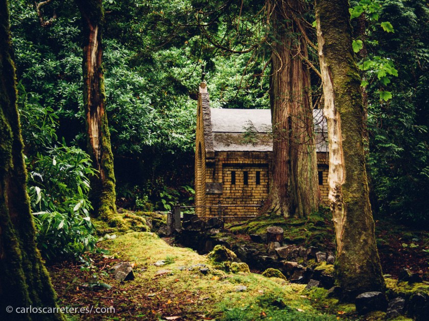 Y más ahora que con lo que se han puesto de moda los extremistas