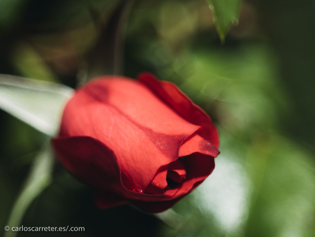 ... porque lo que ha sido este fin de semana largo pasado,... brrr que viento tan frío para ser las fechas que son.
