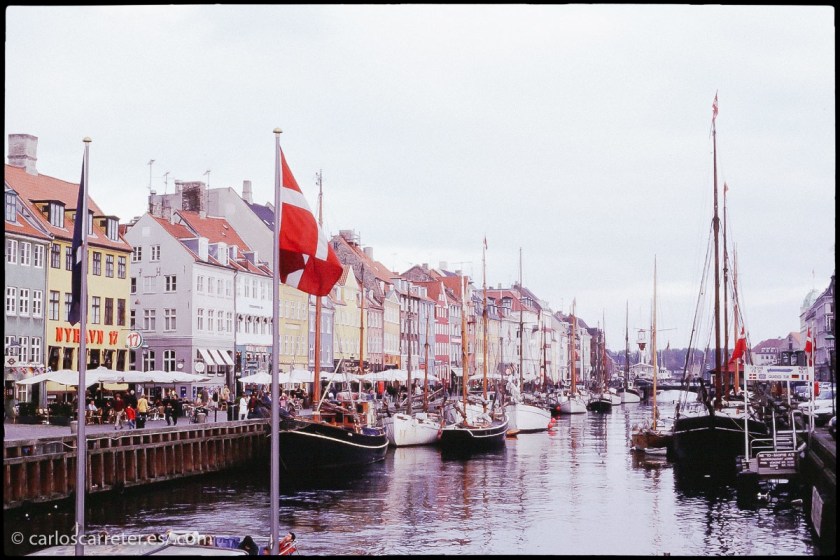 tumblr_o77o53QrZQ1r5mrsgo1_1280