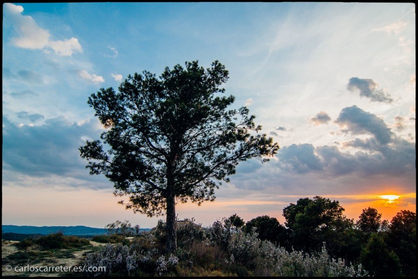 tumblr_oa7n5kvflO1r5mrsgo1_1280