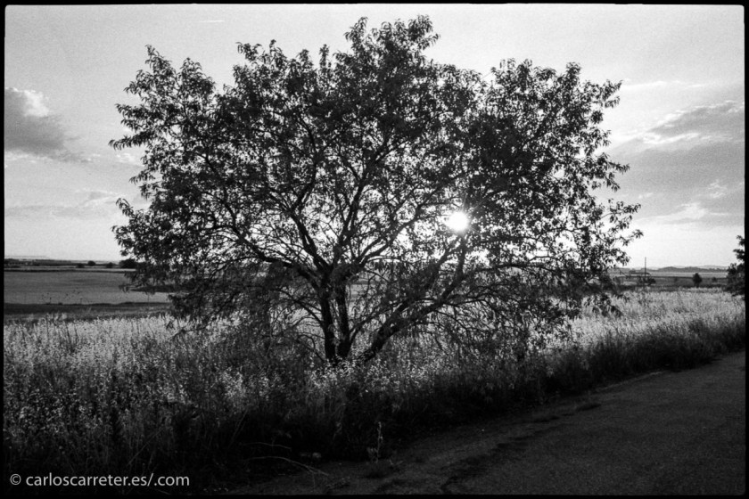 20140615-LeCL_TriX_026