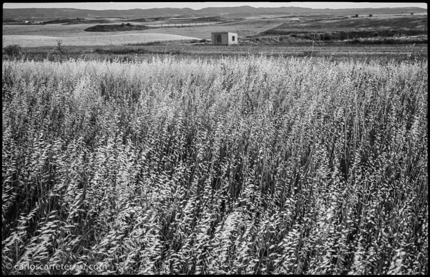 20140615-LeCL_TriX_028