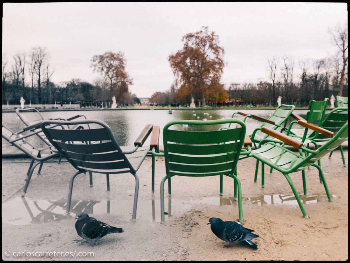 No en su totalidad, pero la mayor parte de la novela transcurre en las calles y los suburbios parisinos,... y allí me voy fotográficamente, entre la luz y los colores de la ciudad cosmopolita y la nostalgia de la ciudad milenaria.